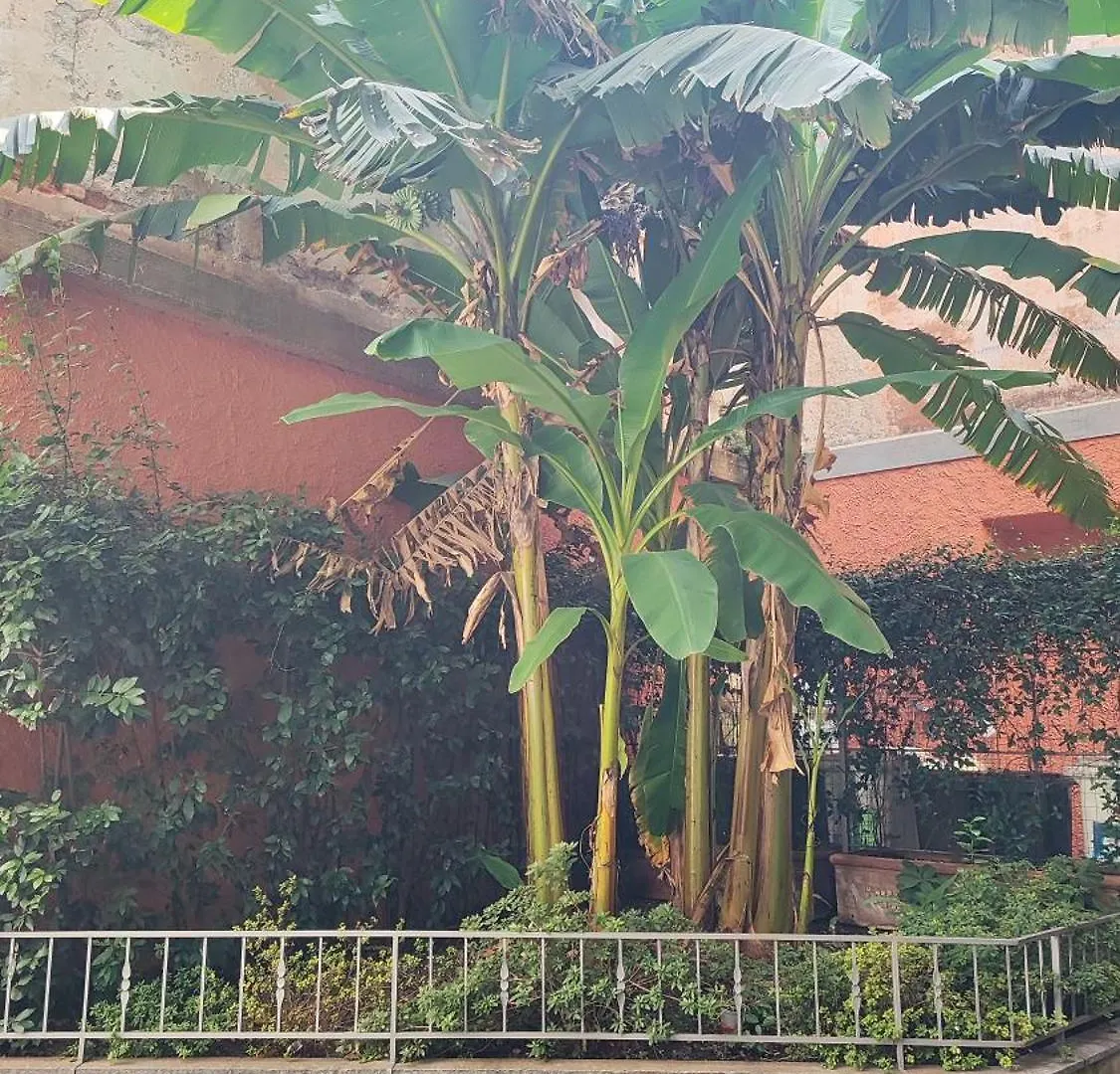 Suite51 Milán